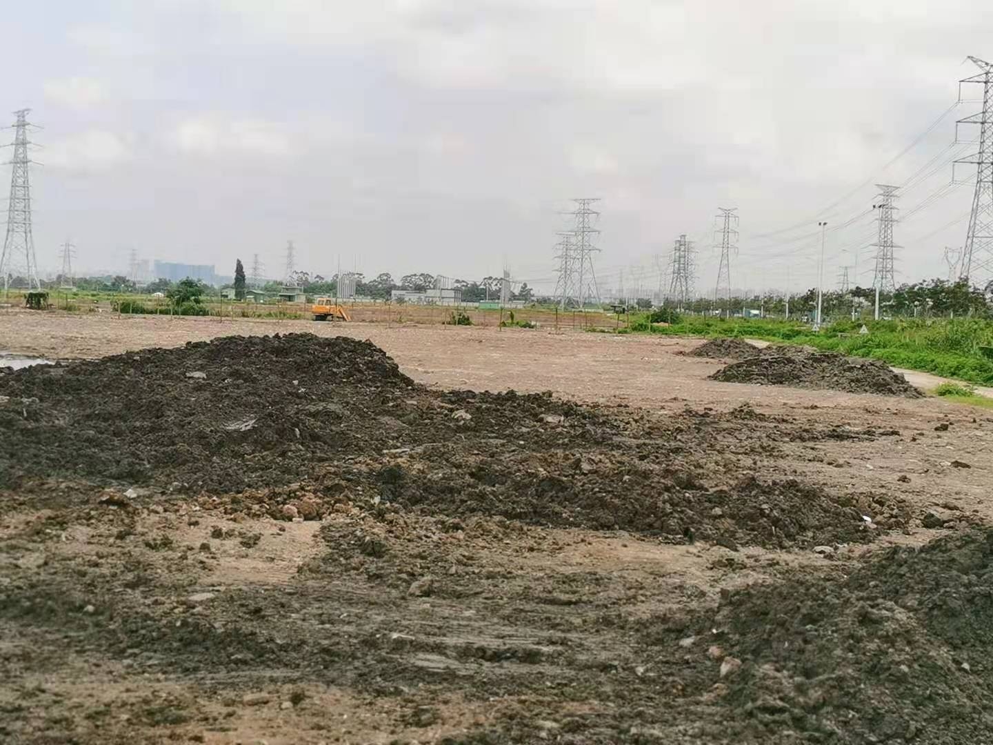 黄圃镇主干道一手房东证件齐全空地出租8