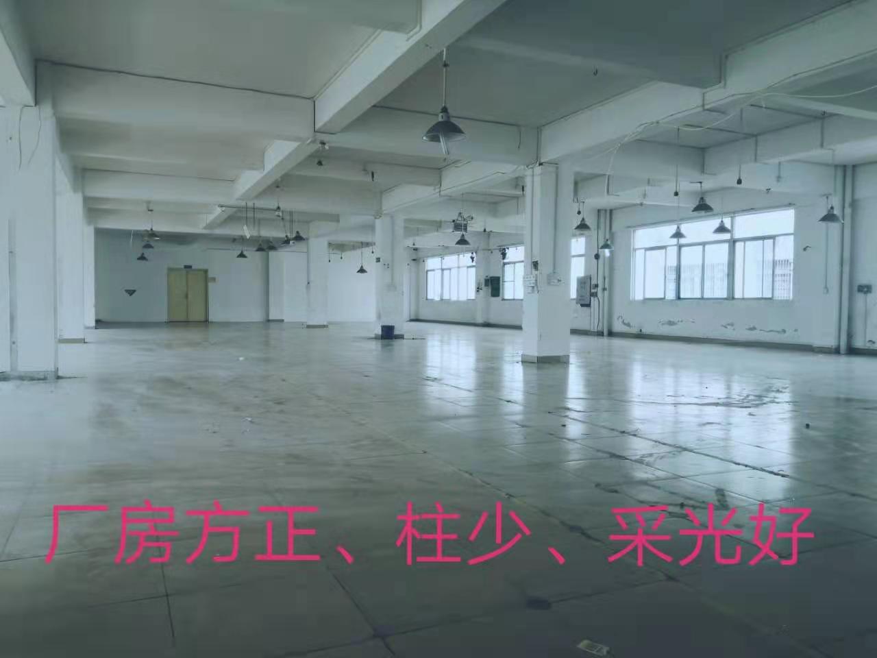 普通图片