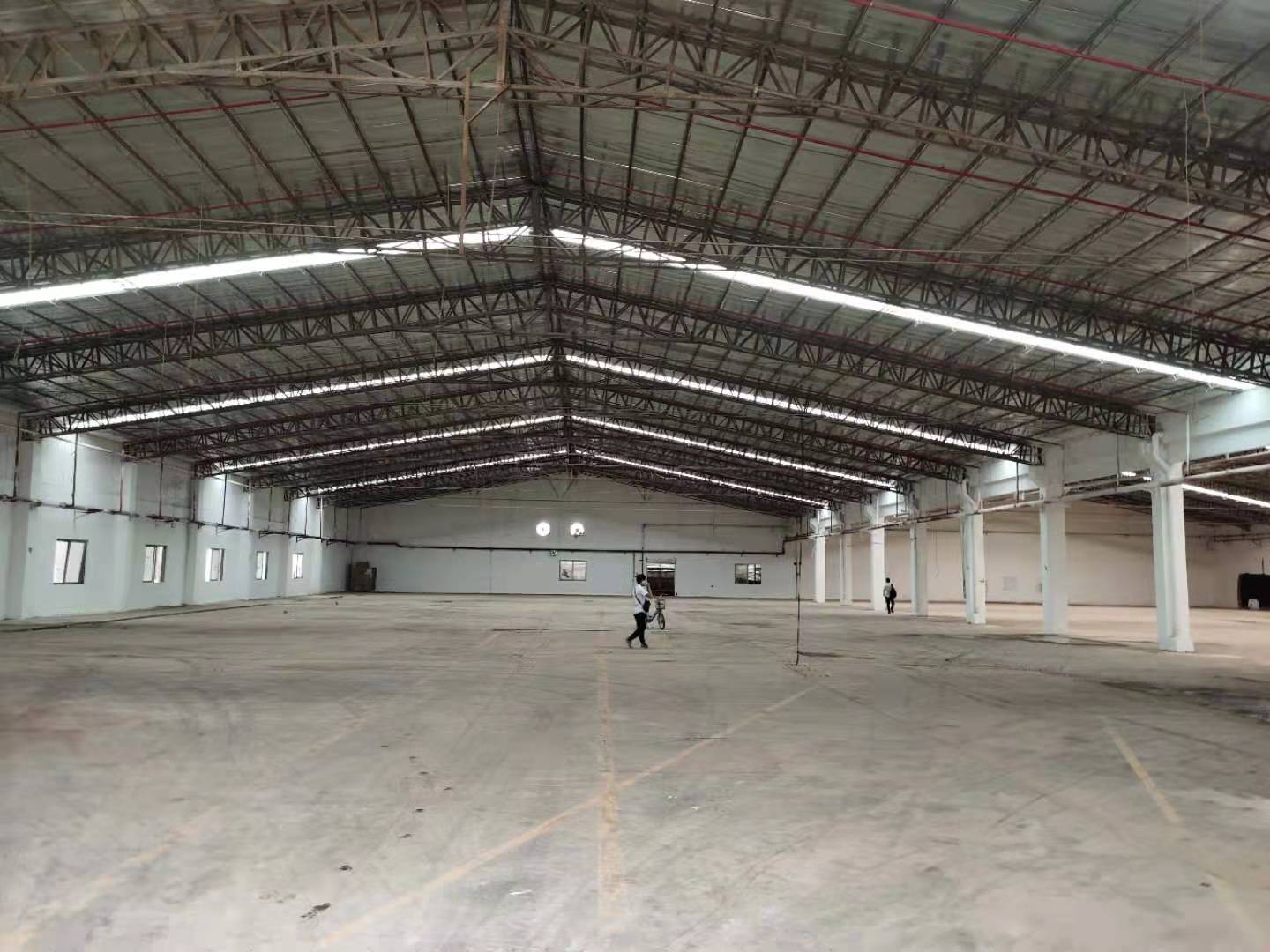 虎门镇怀德单一层钢构厂房滴水7米，可做物流，生产，仓库