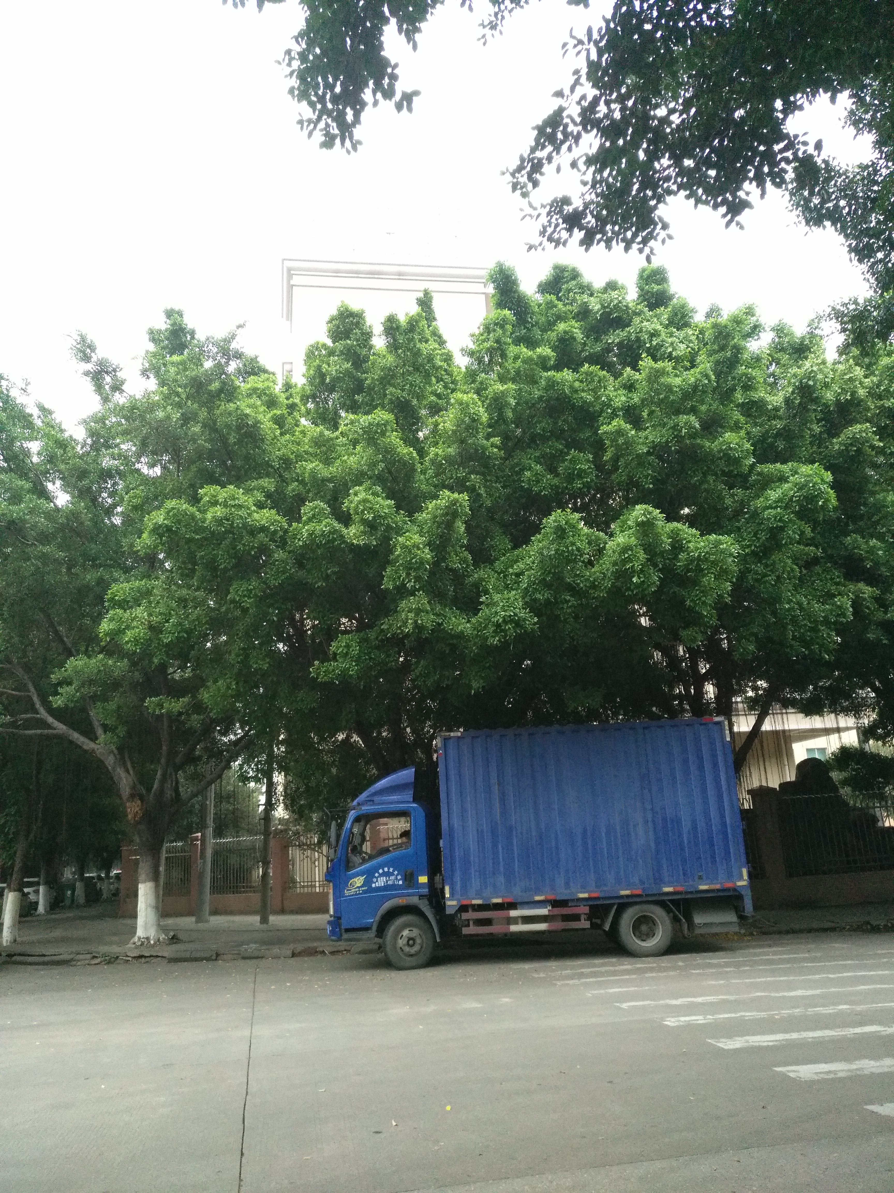 顺德区南海国有红本土地出售2