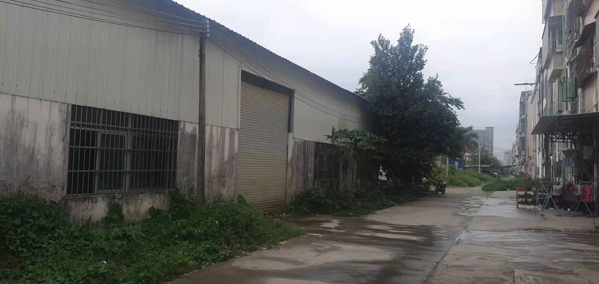 石湾镇滘吓村董屋礼堂后面独院钢构厂可以分租做仓库