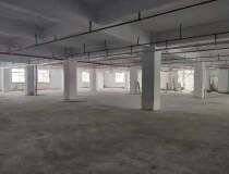九江镇沙头工业区新出独栋厂房5500方出租。