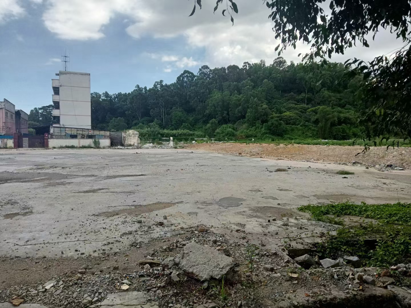 平湖主干道路边空地出租1