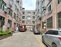 惠阳秋长茶园大型工业园区内分租一楼标准厂房950平