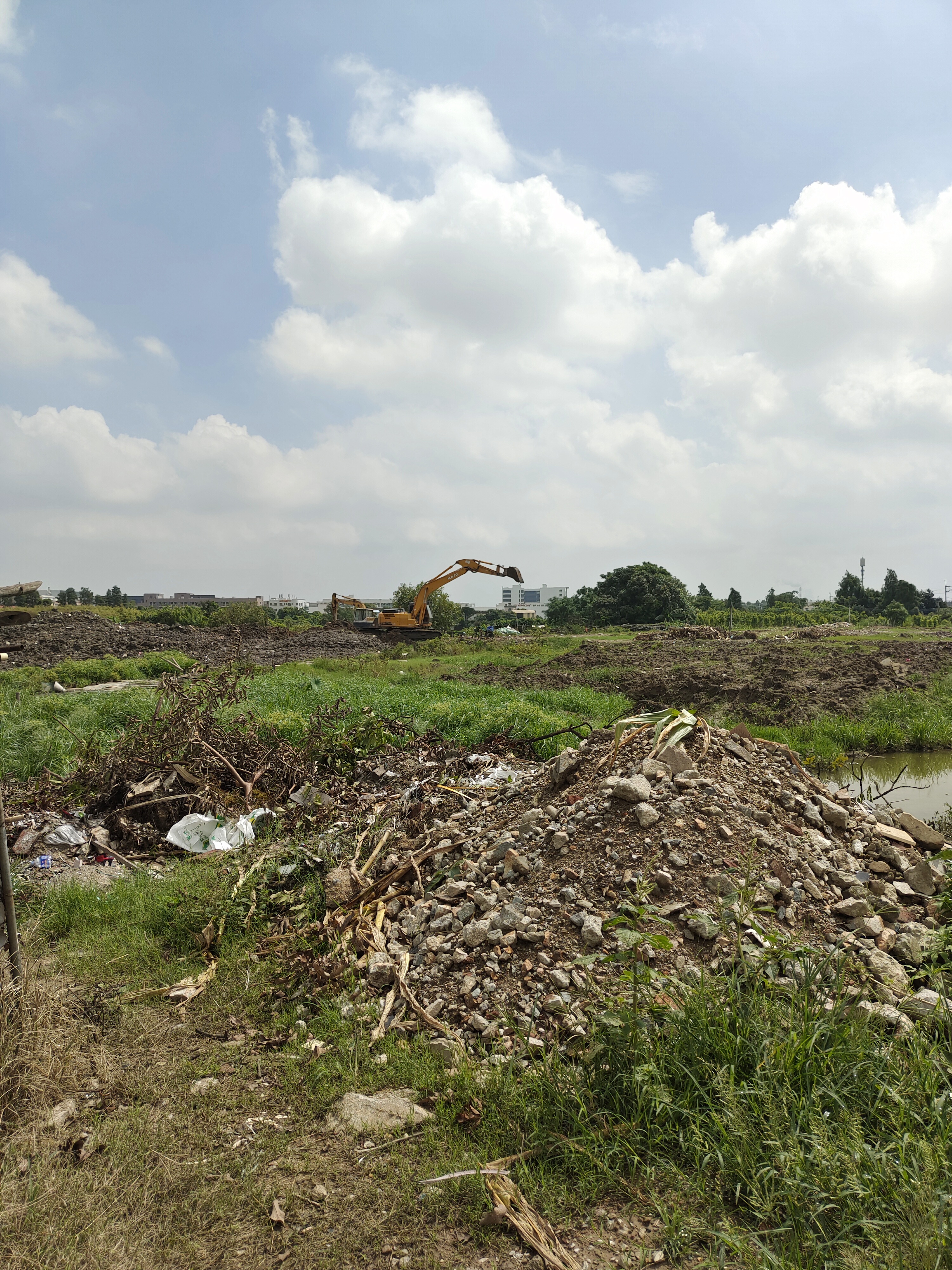 中山市东凤镇新出土地1