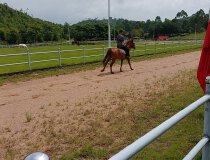 肇庆四会120亩国有土地售价58万一亩