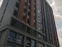 南沙珠江工业园大路边独门独院全新有电梯一手房东