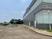 广州番禺大型标准厂房三栋共45000平，大小可分租，有红本