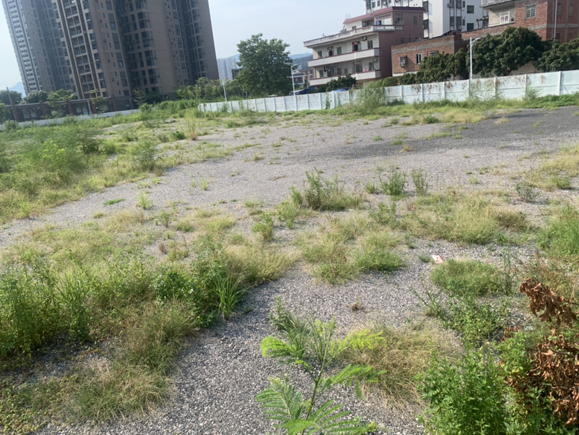 狮岭镇度假村专用道边上空地30亩2