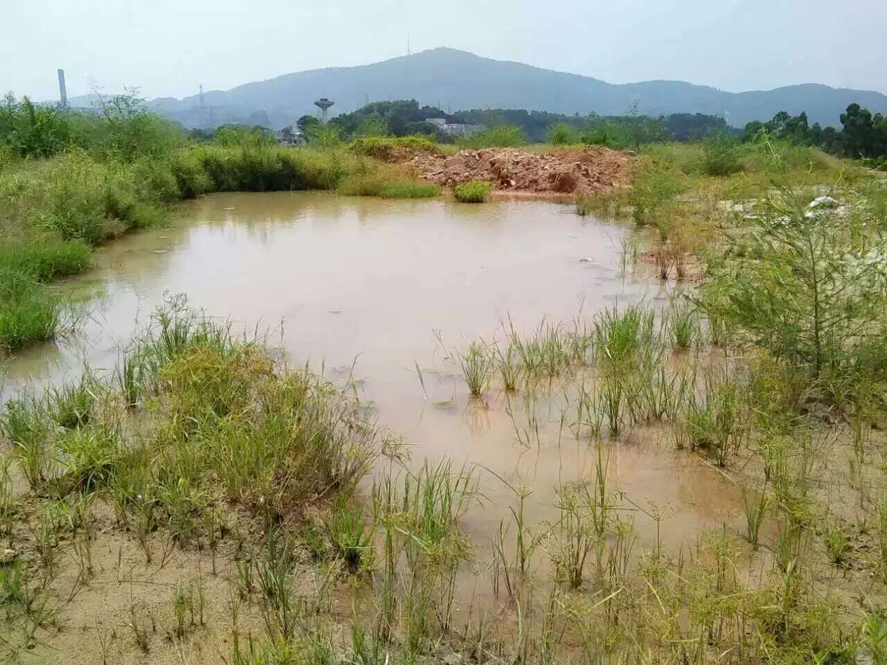 沙田镇集体村委土地出租
占地面积200亩
可定建简易单一层钢1