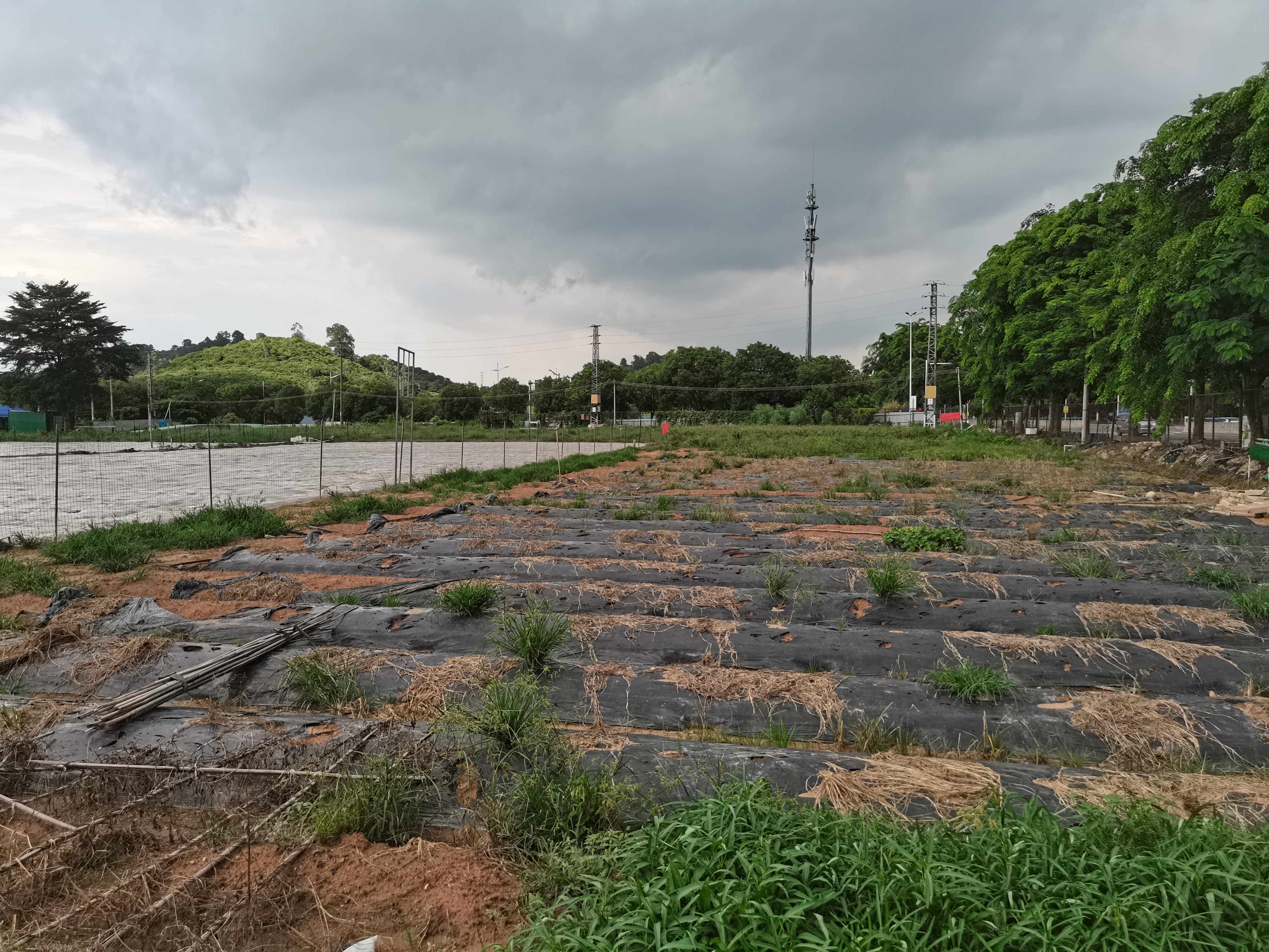 原房东地皮出租，周边无居民，9万平方，1