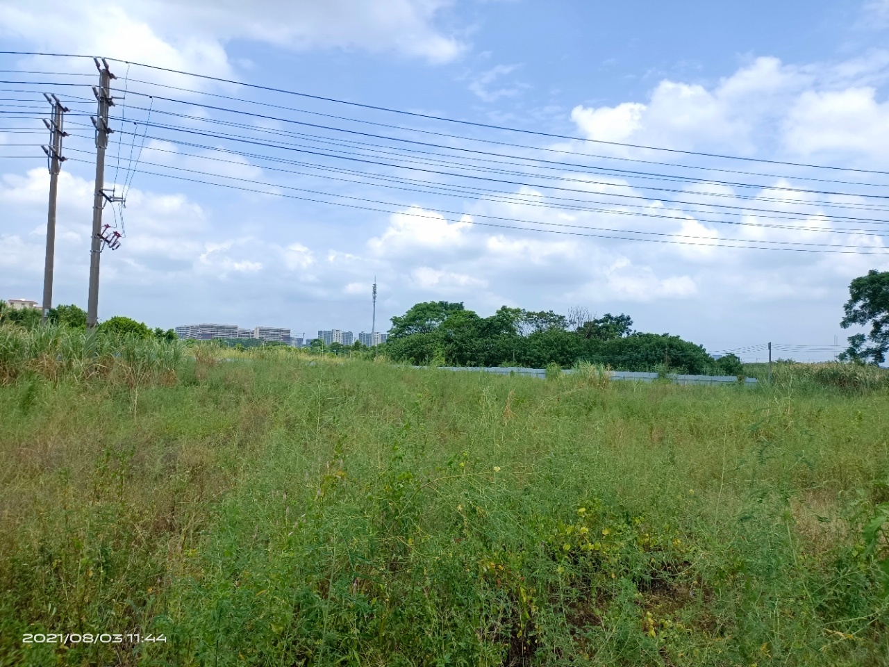 新华10亩空地紧急招租。4