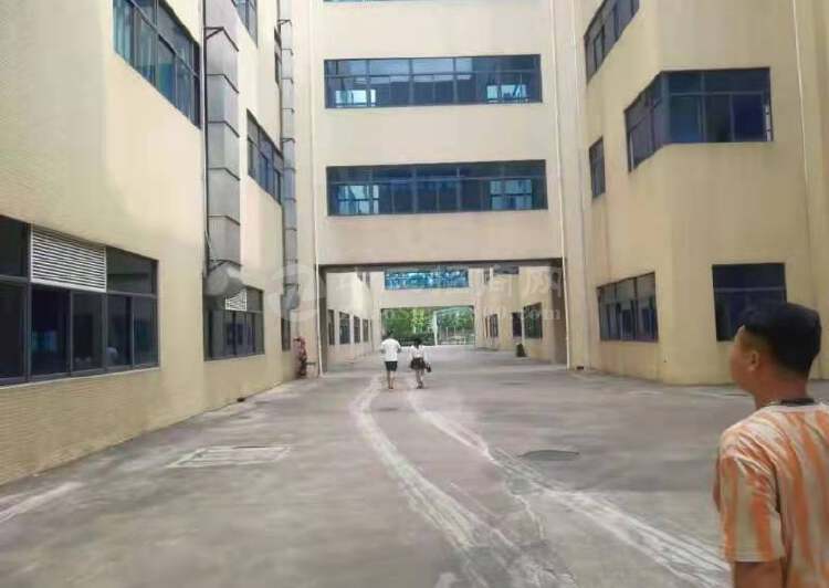 长安镇工业区工业园新出精装修办公室写字楼出租面积7000平方3