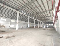出租|黄圃镇大雁工业区新出单一层钢构厂房