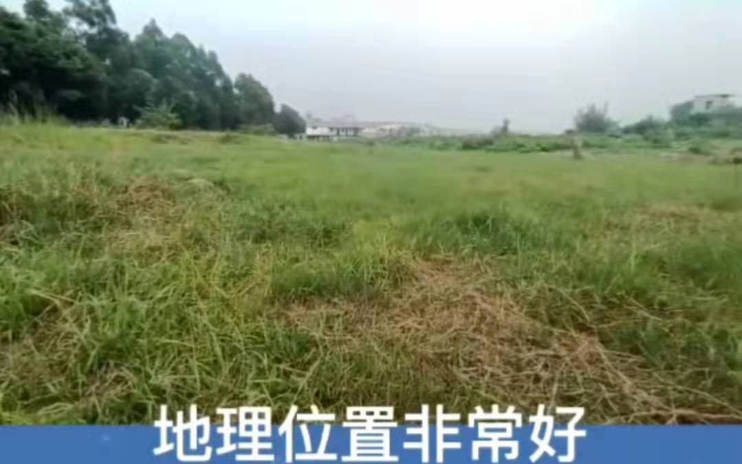 佛山顺德一手工业用地出售2