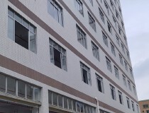 九江镇沙头新出27000平方米标准厂房招租