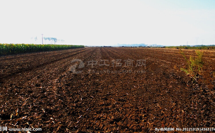 中山民众红本土地出售可报建1