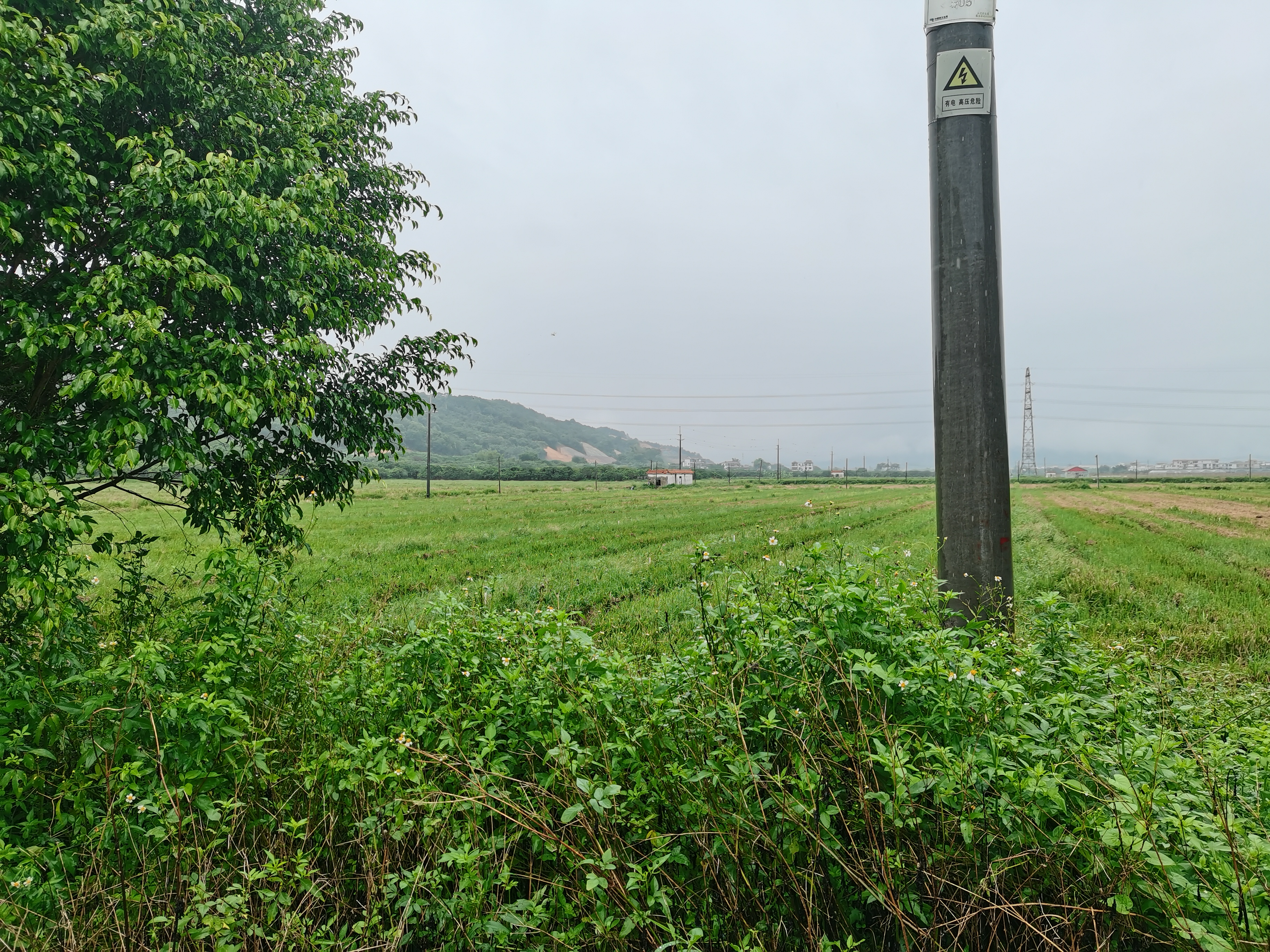 农用地适合农业种植1