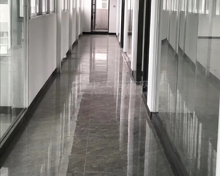 沙湾镇园区办公出租450平方整层带客梯可做办公电商组装等