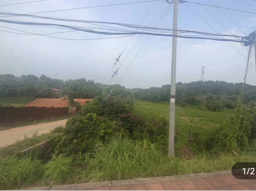 太平鳌头街口大量土地出租1