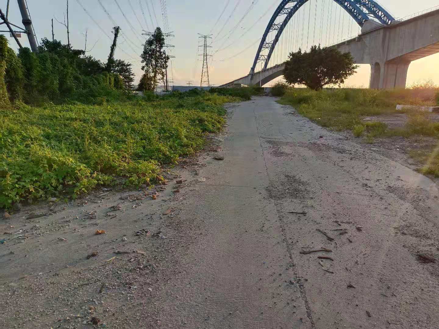 东凤镇交通主干道旁30亩空地招租，可分租。政府备用地……3