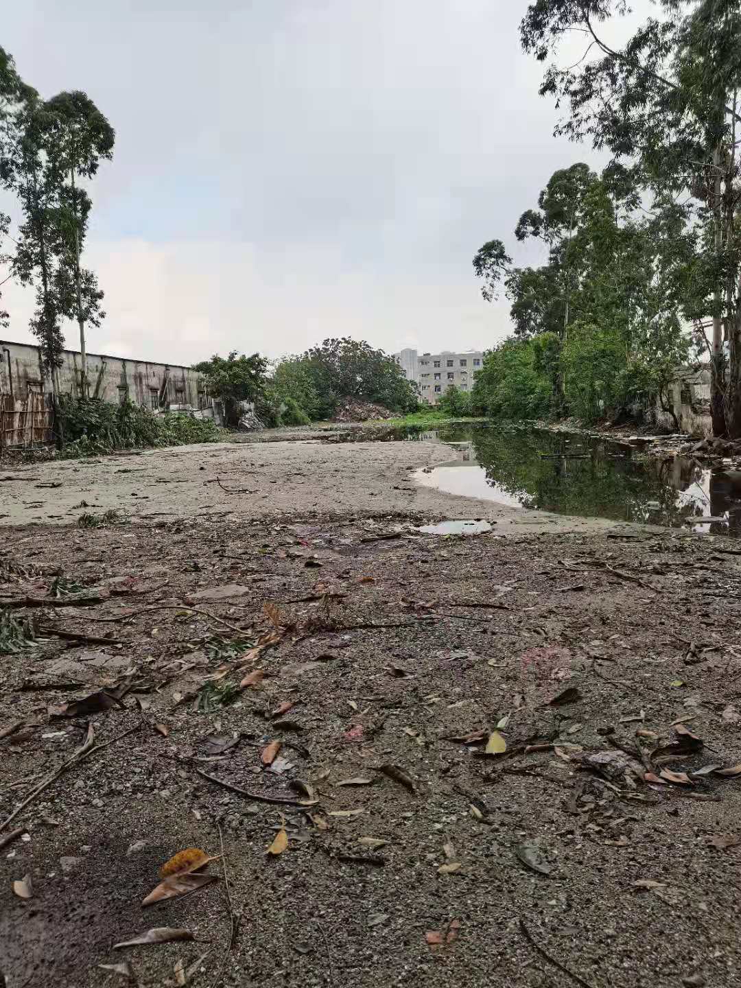 东莞市麻涌镇五亩工业用地招租2