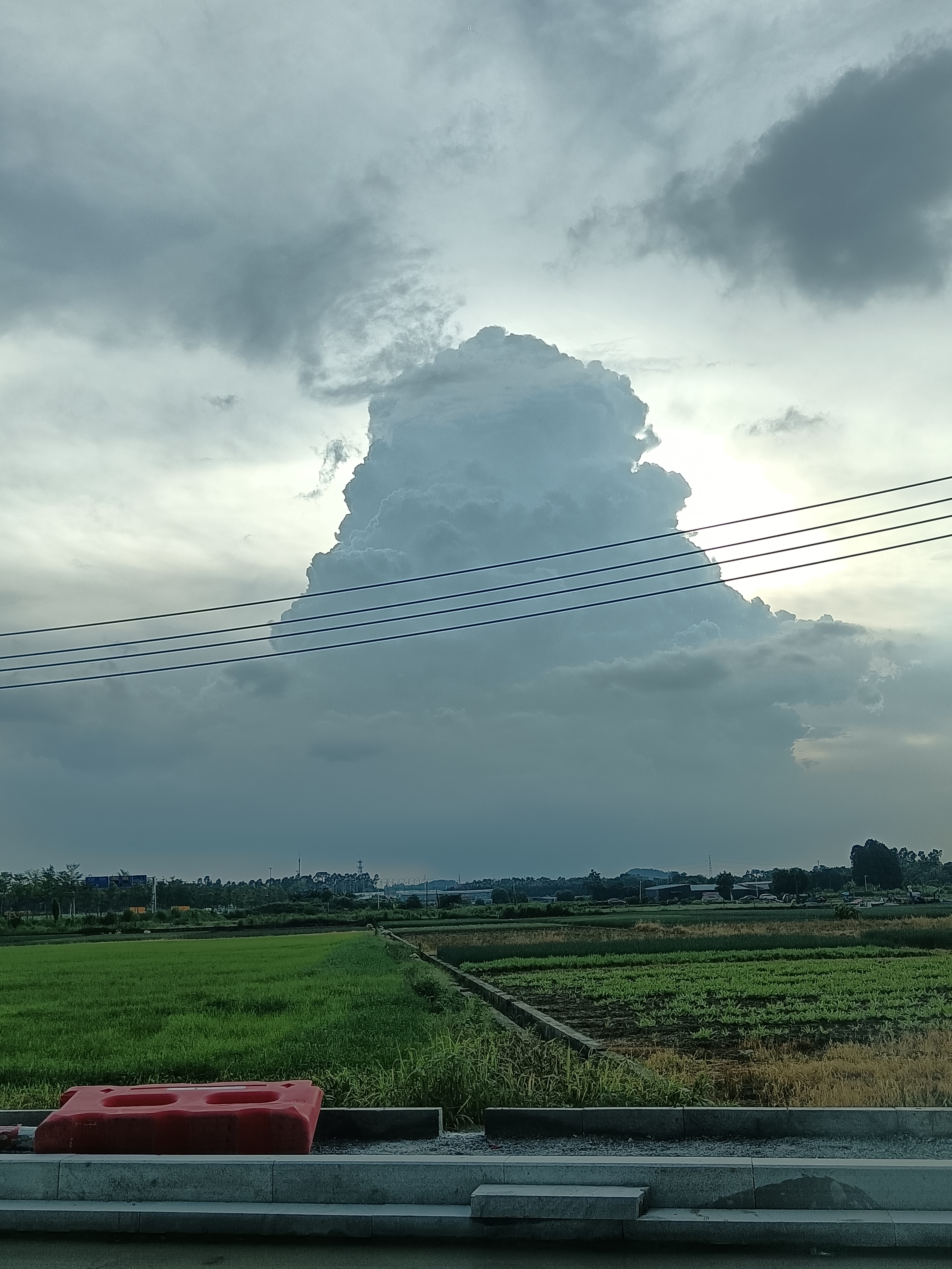 花都花山46亩国有土地出让1