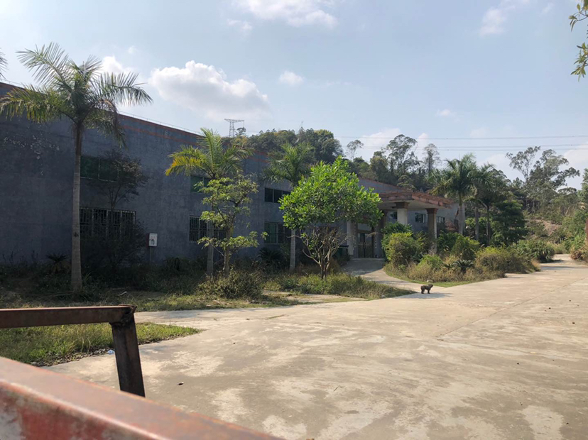 惠州市惠阳区镇隆镇长龙村隆桦工业园厂房出租