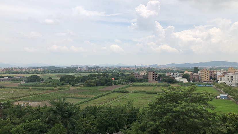 广州市花都区花山镇1