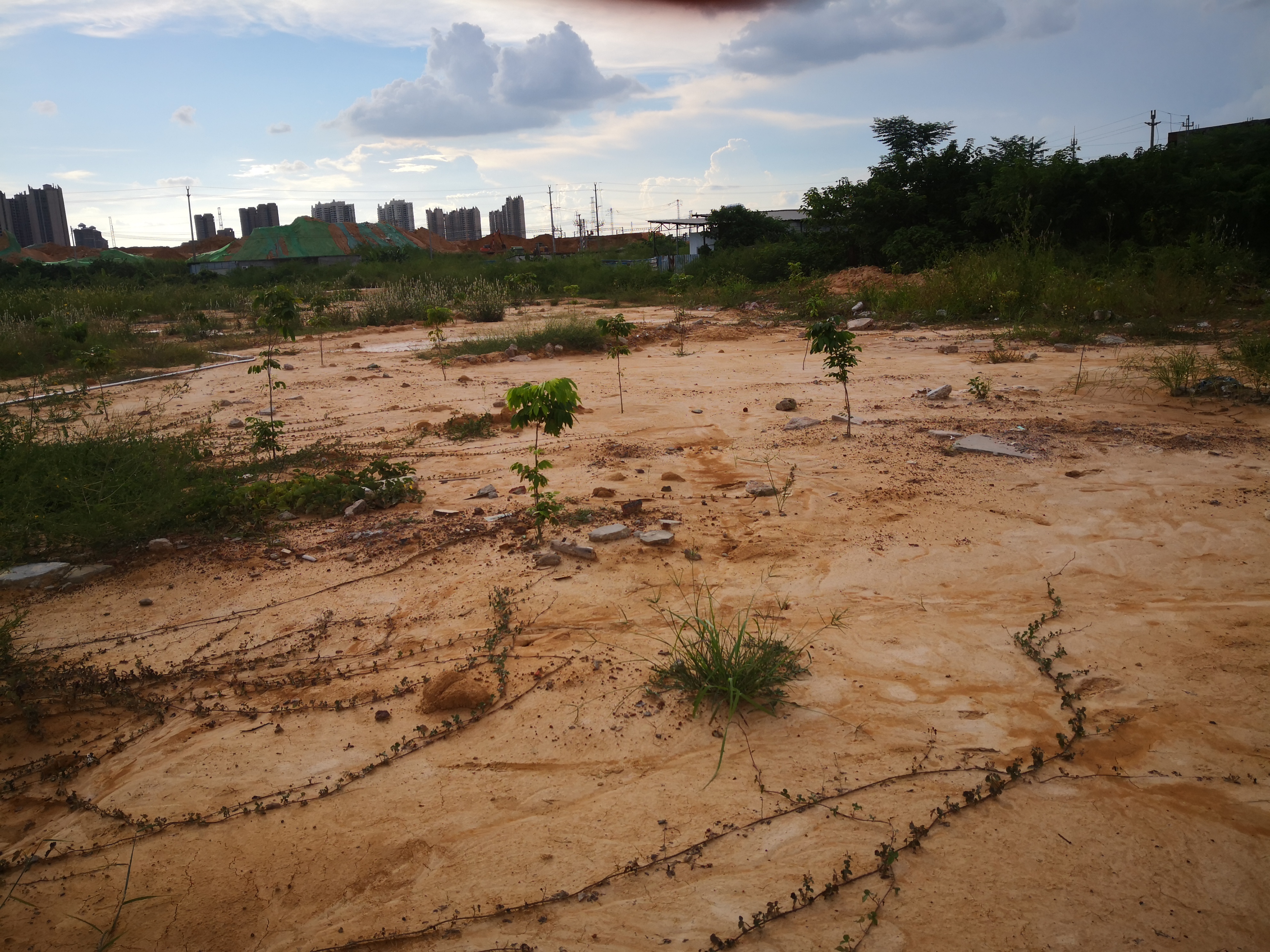 惠州市惠城区18000平工业用地出租，证件齐全2