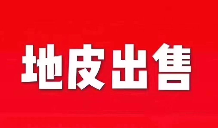 博罗县工业园区10300方国有工业用地出售1