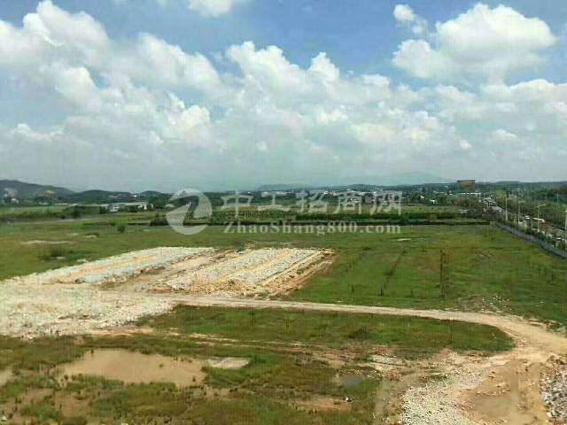 广州市番禺区化龙40亩国有土地厂房出售2