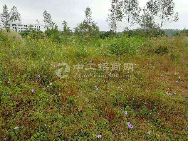 广州市番禺区化龙40亩国有土地厂房出售1