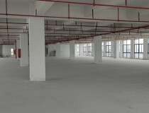 深圳大浪龙澜大道附近新出1200平厂房