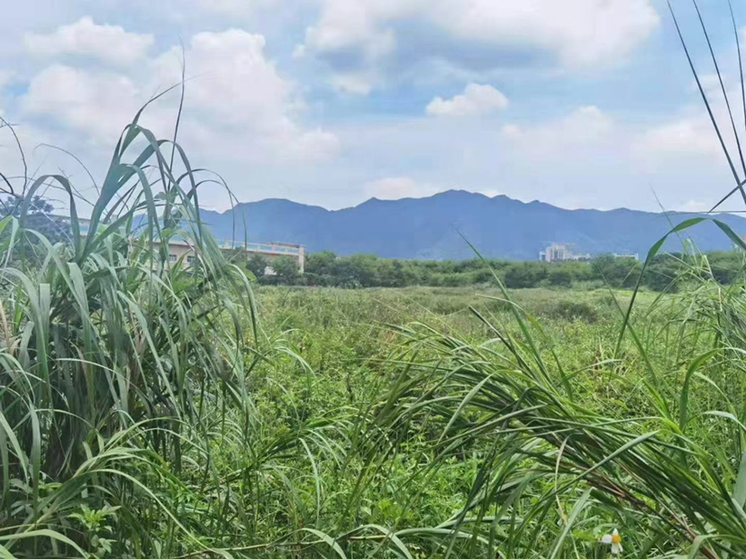 佛山市禅城区原房东花园式厂房土地出售，靠近高速路1