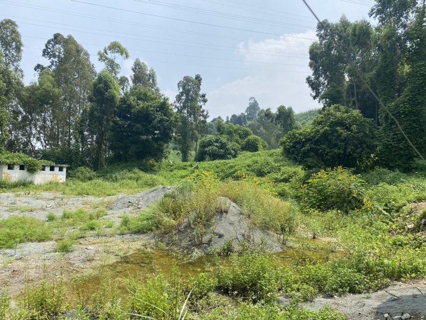 凤岗新出地皮80000平出租3