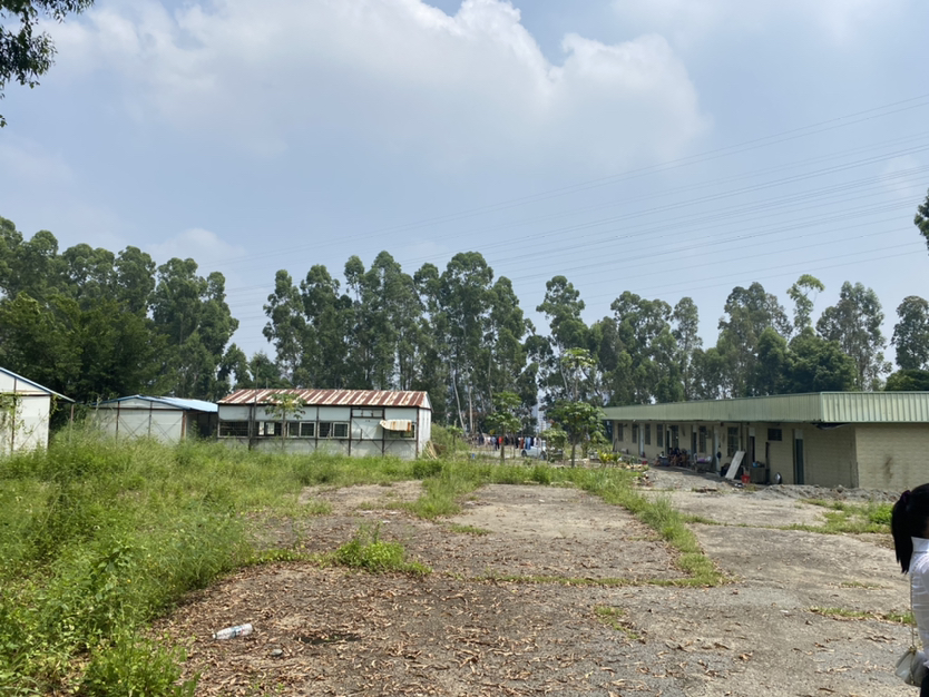 凤岗新出地皮80000平出租4