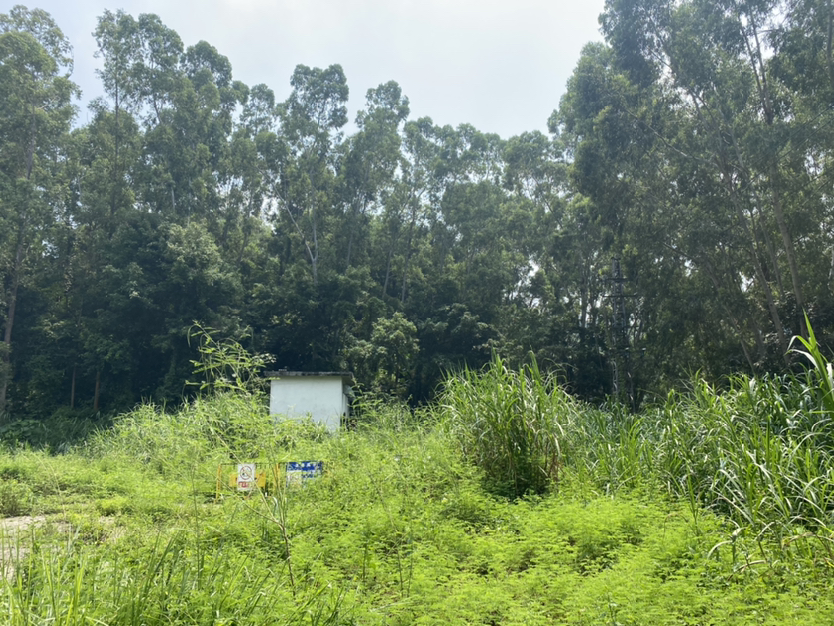 凤岗新出地皮80000平出租5