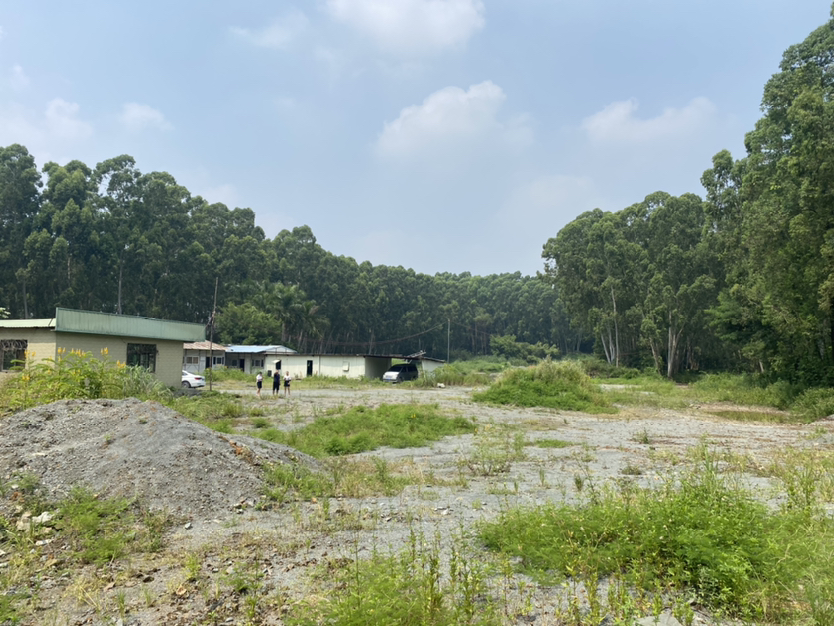 凤岗新出地皮80000平出租8