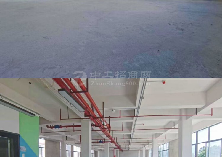 广州市番禺市桥沙头写字楼、仓库、出租1000方大小可以分3