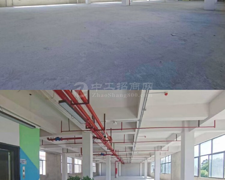 广州市番禺市桥沙头写字楼、仓库、出租1000方大小可以分