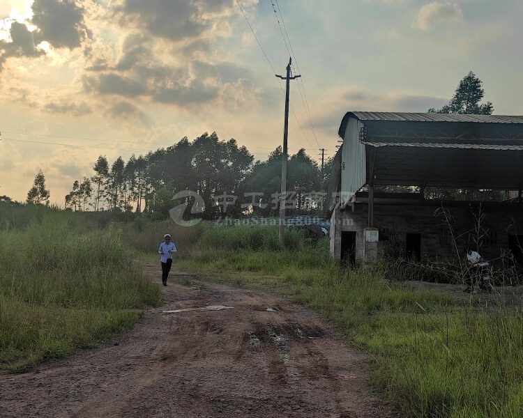 清远市清城石角镇可以分割带红本可以自建的土地。