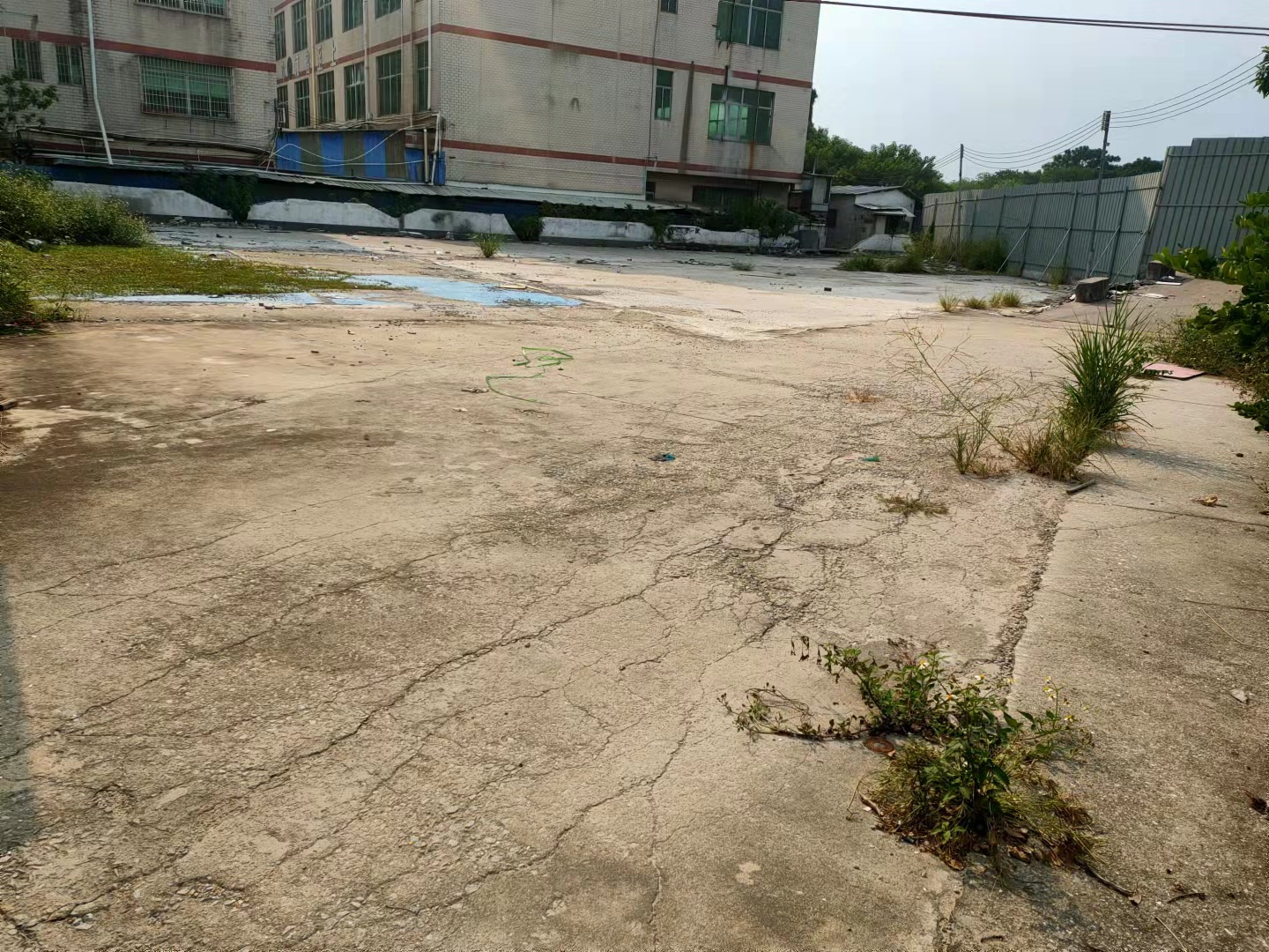 白云龙归街道1200方一手工业用地出租3