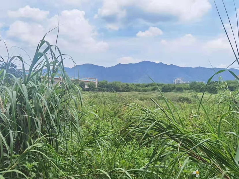 江门鹤山西江空地45亩证件齐全1