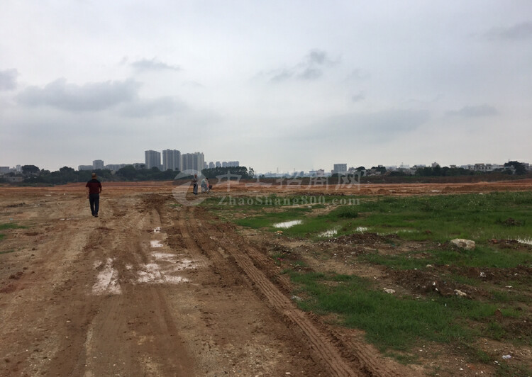 河南省开封市新出国有工业用地，镇府指定扶持项目规划用地，3