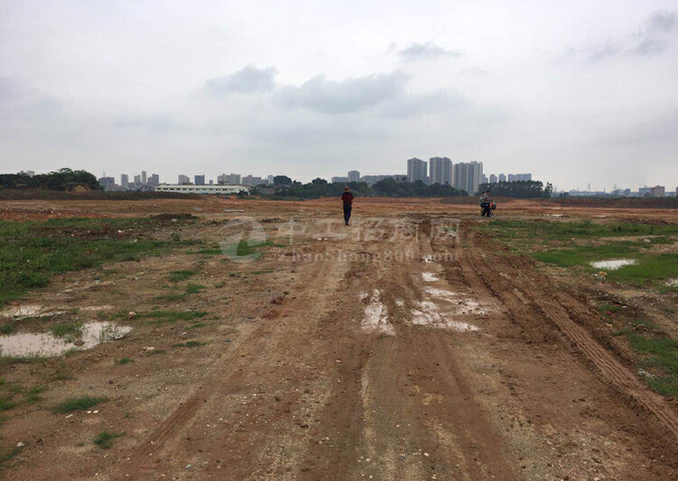 安徽省阜阳市新出国有工业用地1000亩30亩起售，带报建，2