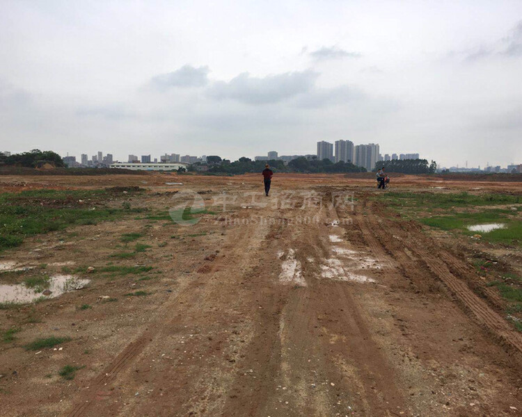 安徽省阜阳市新出国有工业用地1000亩30亩起售，带报建，