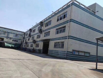 临深惠城区国有双证红本工业厂房11125平方米低价急售