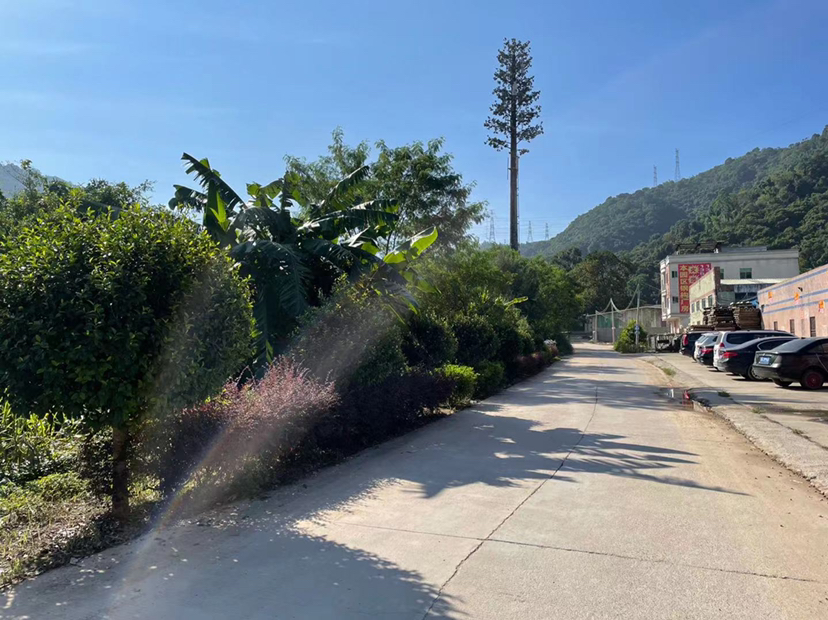 镇隆镇长龙村205国道独栋钢构厂房1740平方出租