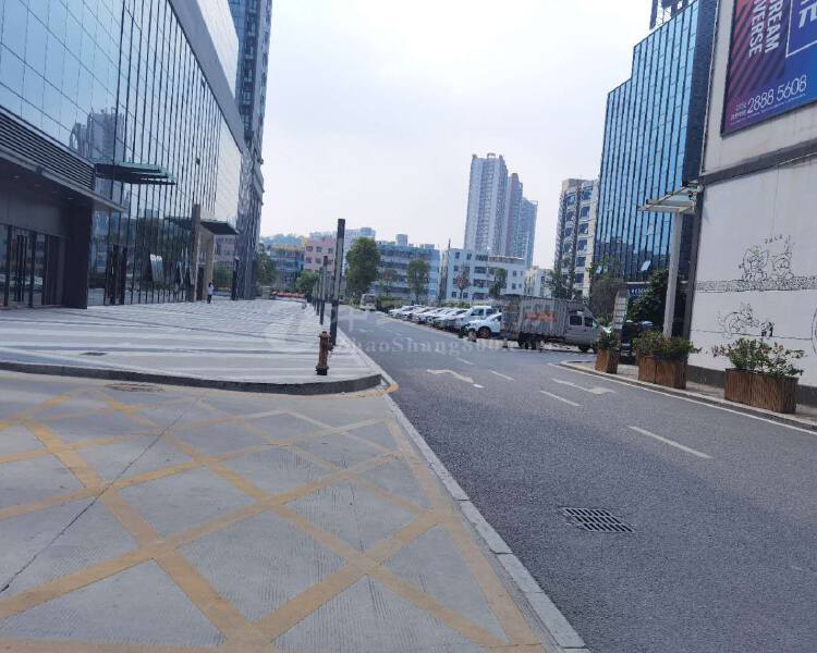 深圳龙岗布吉长龙地铁口新出5楼236平户型方正带装修出租